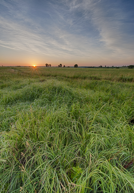 image # SGWeaver_20120602_11210.jpg Tall Grass Prairie Preserve