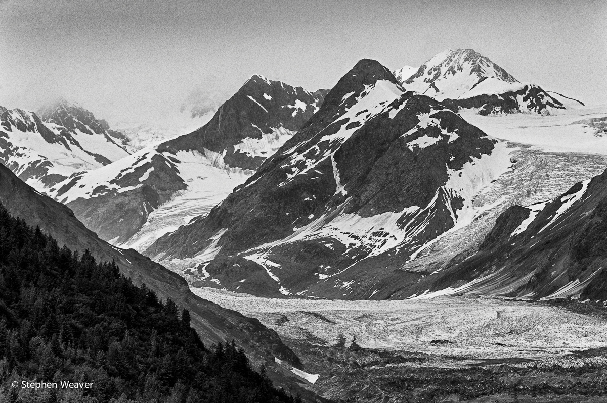 Terminus of the Carroll Glacier as seen from Queen Inlet. Glacier Bay NP