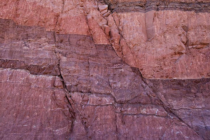 Small normal faults in the Triassic Moenkopi Formation in the Moab Fault Zone, Utah