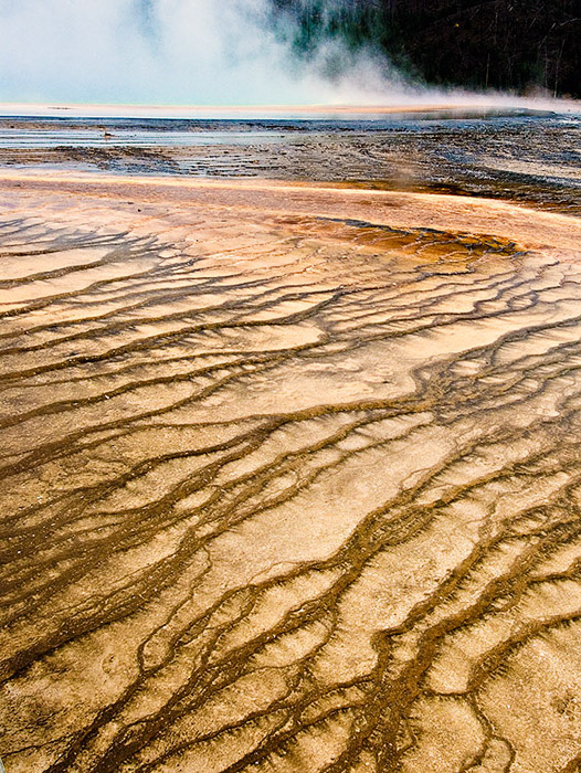 algal and bacterial mats color the deposits of grand prismatic hot spring