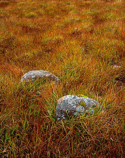 Rocks and Grass in Glen Etive, Scotland