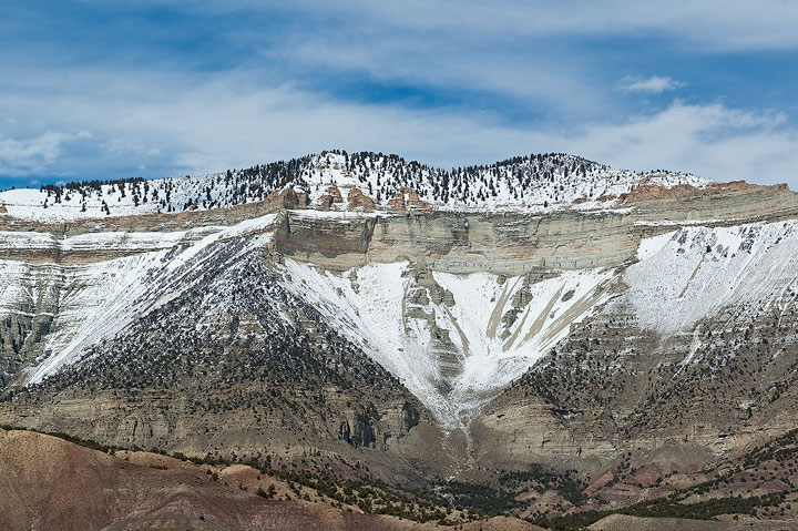 Green River formation oil shale exposed in the Roan cliffs, Colorado License this Image