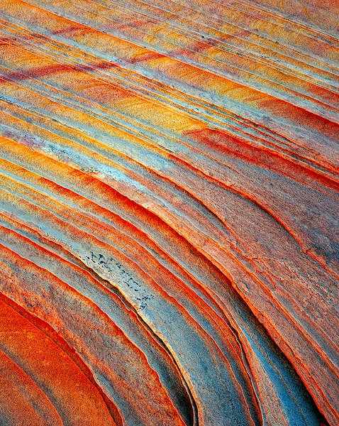 Cross bedded Navajo Sandstone&nbsp; glows in reflected light deep in a canyon in the Vermillion Cliffs Wilderness. The reds and...