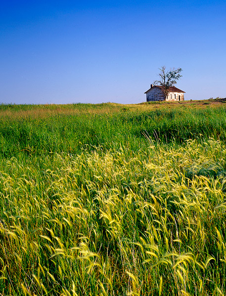 An old school house stands among the prairie grasses on the Chico Basin Ranch, Colorado