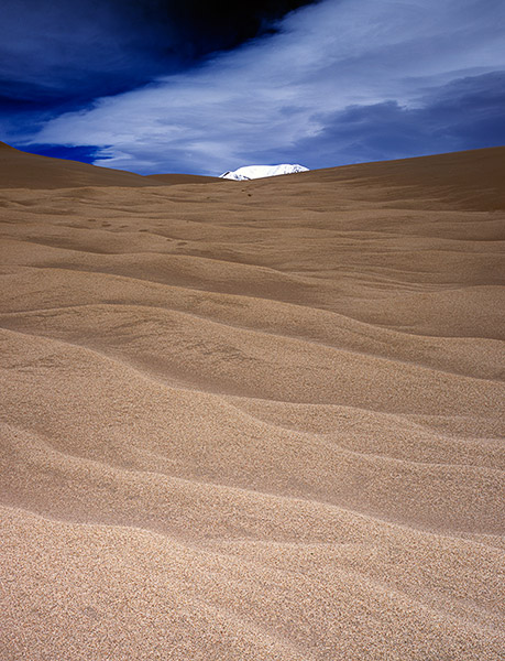 Snow coverd Mt Herard peaks over the rippled dunes of Great Sand Dunes NP, Colorado